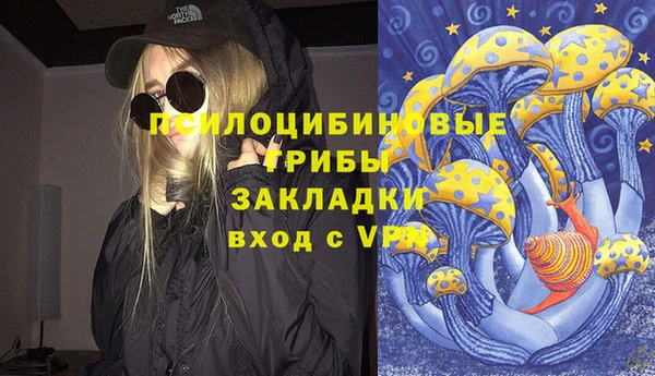 дмт Алзамай