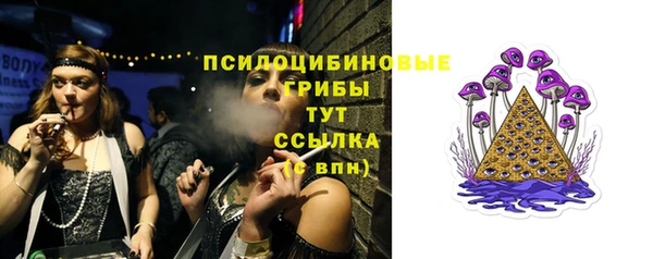 дмт Алзамай